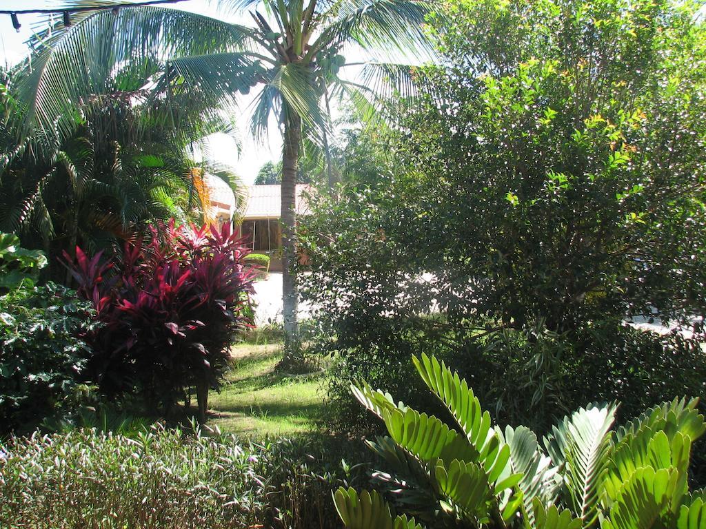 Hotel La Arena Liberia Exteriör bild