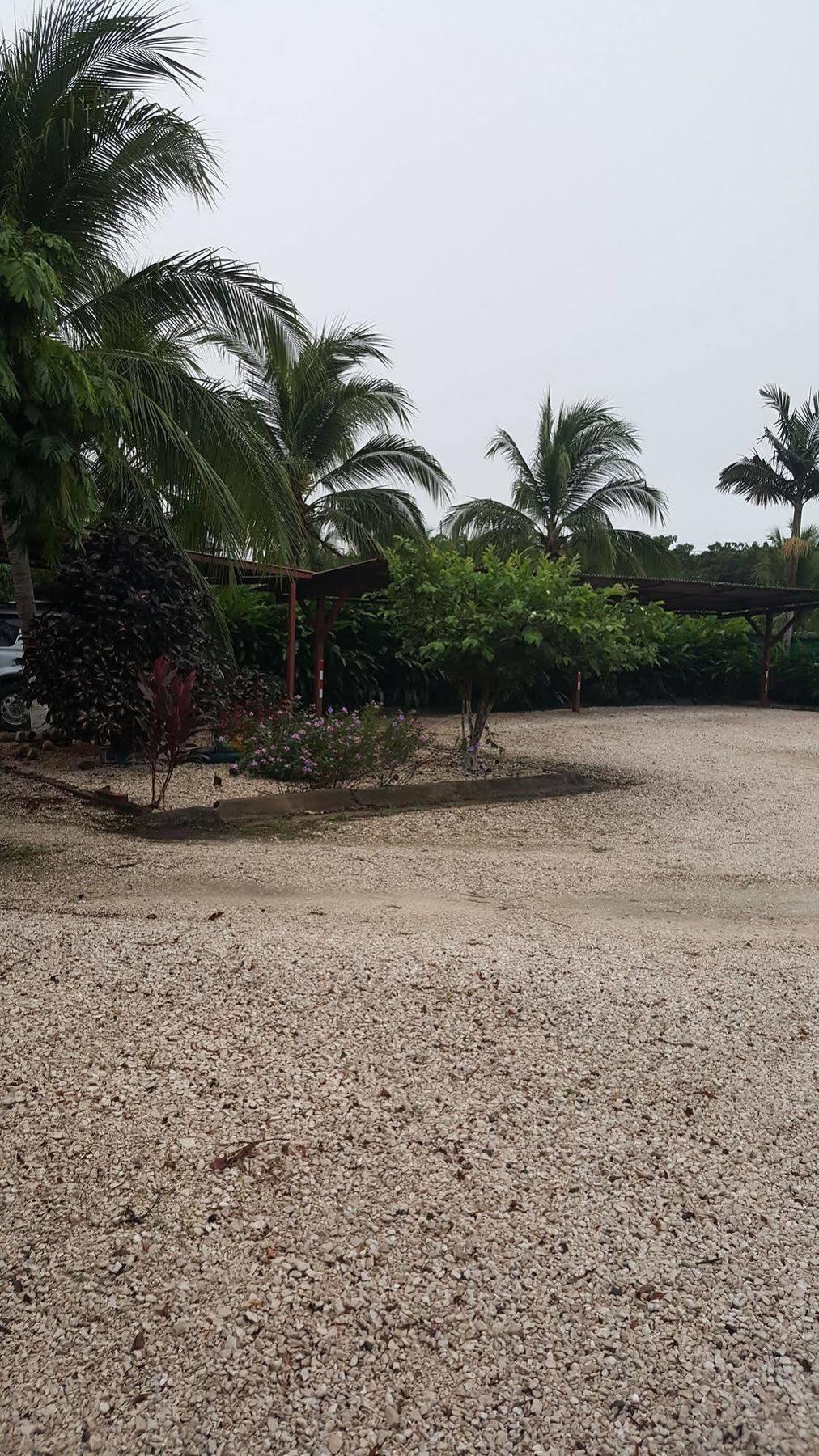 Hotel La Arena Liberia Exteriör bild